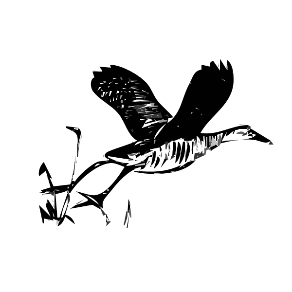 King rail bird in flight outline vector illustration